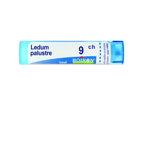 Boiron Ledum Palustre 9CH eegrave; un medicinale omeopatico utile come rimedio ad eventuali traumi e dolori articolari. Pueograve; essere utilizzato anche nella prevenzione delle punture di insetti.