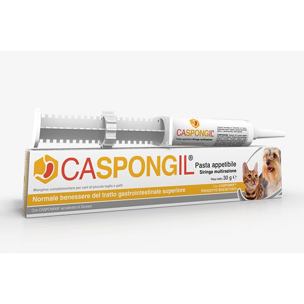 Caspongil Pasta Gastrointestinale Cane E Gatto 30g