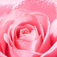 Nuxe Very Rose Lozione Peeling Luminosità Tutti i Tipi di Pelle 150 ml