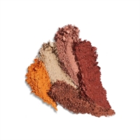 Palette Spring Vibes Armonia Dei Colori Rougj x Liu Jo