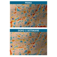 Miamo Longevity Plus Siero Anti Aging Defense Sunscreen Drops 30 ml Spf 50