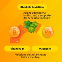 Supradyn Ricarica No Stress Integratore Vitamine e Magnesio 20 Bustine