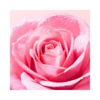 Nuxe Very Rose Gel Detergente Lenitivo 150 ml