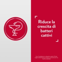 Gyno Canesbalance Gel Vaginale contro Vaginosi Batterica Infezioni Vaginali 7 Flaconcini Applicatori