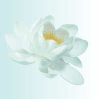 Nuxe Aquabella Lozione Essenza Rivelatrice di Bellezza Tonico Viso 200 ml