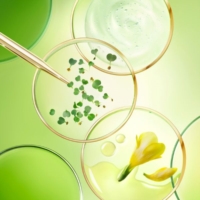 Nuxe Nuxuriance Ultra Crema Viso Notte Ridensificante Anti Età Globale 50 ml