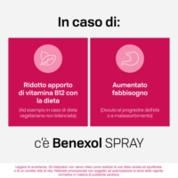 Benexol Spray Integratore alimentare di Vitamina B12 ad Alto Dosaggio con Edulcorante Flacone 15ml